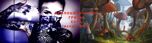 метадон Лабытнанги