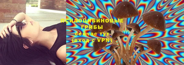 метадон Лабытнанги