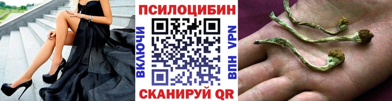 hydra ссылка  Сычёвка  Псилоцибиновые грибы ЛСД 