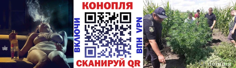Конопля AK-47  Сычёвка 